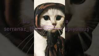 yorum yap #edit #naberyutube #cat #keşfetbeniöneçıkar