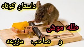 داستان آموزنده تله موش و صاحب مزرعه