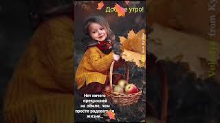 Пятница  !!!  Доброе утро  🍁🍁🍁