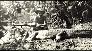 Devoured by an Alligator - Crocodile encounters in the 1880s in North Queensland