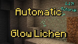 How to farm GLOW LICHEN from 1.17! | Quick Tutorial