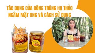 Tác Dụng Của Đông Trùng Hạ Thảo Ngâm Mật Ong Và Cách Dùng #tacdungdongtrunghathaongammatong