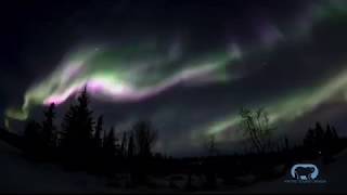 Aurora Hunting tour from Yellowknife with Arctic Tours Canada