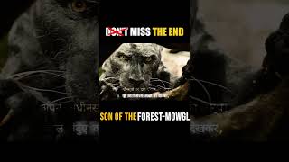 Son Of The Forest- Mowgli Part 6 #highSCOMovie #sonOfTheForest #movieScene #dhanufact #fantasy