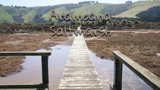 Aramoana Saltmarsh Walk | Dunedin New Zealand | Beautiful scenery | 4K