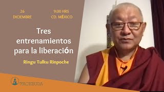 Tres Entrenamientos para la liberación - Ringu Tulku Rinpoche