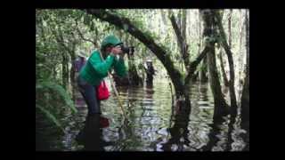 Orientation to Big Cypress National Preserve Enabling Legislation