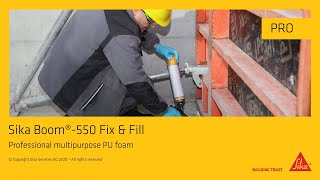 Sika Boom® 550 Fix & Fill for professional use