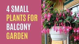 4 Beautiful Small Plants for Balcony Garden Ideas