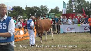 Veekeuring NOORD-FRIESLAND melkvee  2012