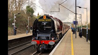 6233 Duchess of Sutherland | The Valentines White Rose at Welwyn North - Saturday 12th February 2022