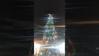 Christmas 2023 Manyata Tech park Bangalore #shorts #manyatatechpark #nightview #christmas