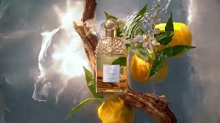 Guerlain Aqua Allegoria Orange Soleia Woda toaletowa spray 125ml