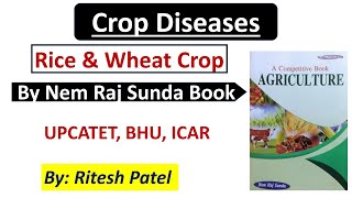 Crop Diseases: Rice & Wheat( Nemraj Sunda)