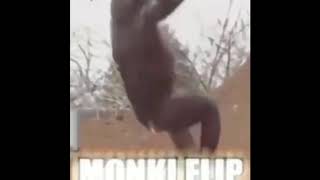 Monkey flip goes wrong [1000 VIEWS SPECIAL]