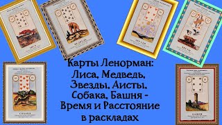 Карты Ленорман: Лиса, Медведь, Звезды, Аисты, Собака, Башня -  Время и Расстояние в раскладах.