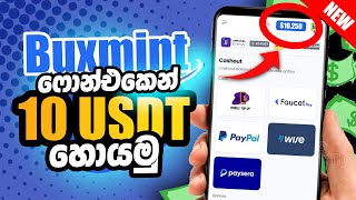 ඩොලර් 10ක් ලේසියෙන් හොයමු | How to earn 10$ per day E money sinhala Buxmint