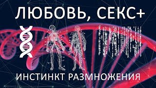 Любовь и секс - инстинкт размножения