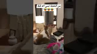 الخضه افقدته الذاكره