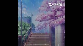 This video is from WeSing