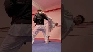 Try this with your training partner  #karate #martialarts #kicks #shorts