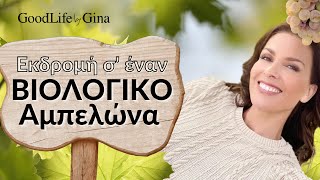 Εκδρομή σε Βιολογικό Αμπελώνα | GoodLife by Gina