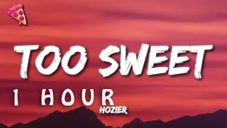 [1 HOUR 🕐 ] Hozier - Too Sweet (Lyrics)