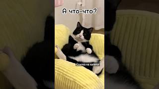 Что ? #каталогфаберлик #каталогтоваров #мемы_тикток #faberlic #мемы #юмор #котики2023