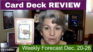 Messages from Your Animal Spirit Guides Cards Review and Weekly Forecast for December 13 - 19, 2020