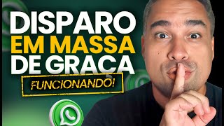 DISPARO EM MASSA NO WHATSAPP DE GRAÇA 2024 [Para iniciantes]