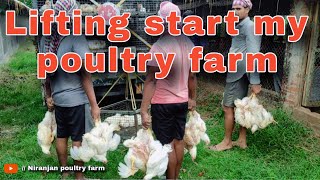 Today chicken loading started in my farm || Niranjan poultry farm  @Niranjanhajira