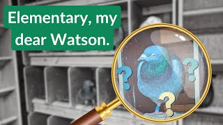 Solving the Mystery How I Discovered My Racing Pigeons Mysterious Illness