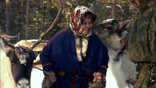 Siberian Reindeer Herders