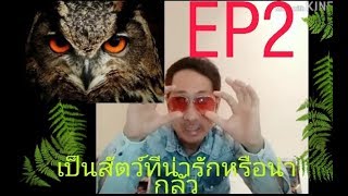 EP 2 นกฮูก เป็นสัตว์ที่น่ารักหรือน่ากลัวAn owl 🦉