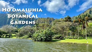 The Most Famous Instagram Spot on Oahu - Ho'omaluhia Botanical Gardens