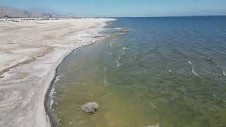 Salton Sea