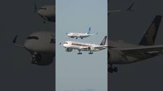 Singapore A350 and United 737 MAX Parallel Landing at SFO #SHORTS