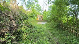 Coming and Returning the D6R XL Bulldozer Conquers the Forest Road