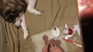 Freshpet Vital Raw - Meatballs for Freya & Skadi