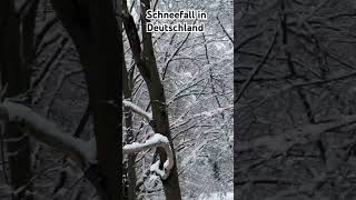 Snowfall in Germany #youtubeshorts #trendingshorts #schneefall #snowfall #germany #winter er