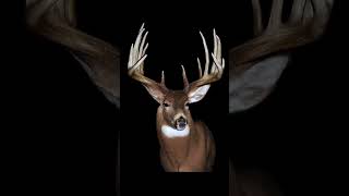 WHITETAIL KINGS EP-14 Lloyd Goad (Iowa)#hunting#deerhunting #deer