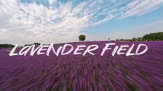 FPV Cinematic | Soaring Over the Lavender Field with Chimera7 Pro V2