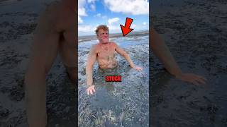 How To Survive Quicksand 😨