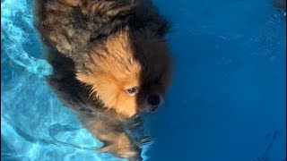 Swimming for the first time