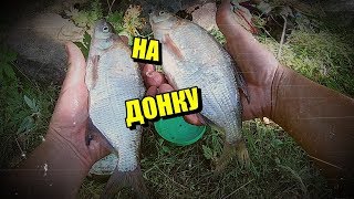 РЫБАЛКА НА ДОНКУ/ЖЕРЛИЦЫ/ГОТОВЛЮ СУП/БЫТ В ЛАГЕРЕ/Fishing on Donk / Float / imitation Fish...