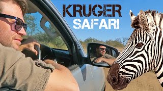 SELF DRIVE SAFARI in Kruger National Park 🚙 Pace Car Rental