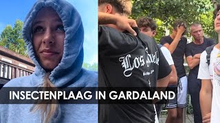 Bezoekers Gardaland (Italië) worden gek van insectenplaag