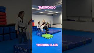 TAEKWONDO KIDS | Tricking Class | Backflip | High Jump | Cartwheel | Kids Sports | Sparring | Kicks