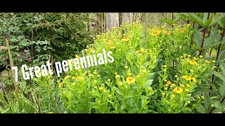 7 Great garden perennial's