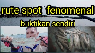 rute spot mancing blanak babon ditambak bedah ngebum